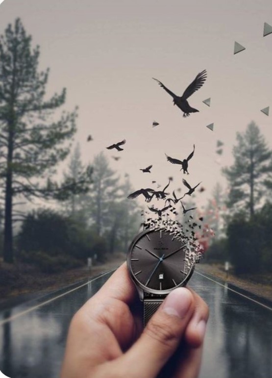 התבוננו בתמונות, מהן מסמלות? מה חשיבותן בהוראה למורה וללומד? by liat - Ourboox.com