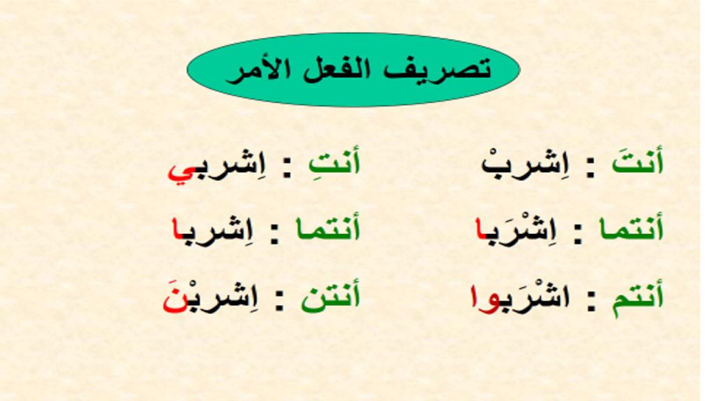 أقسام الكلام by jihan - Illustrated by جيهان عياشي - Ourboox.com