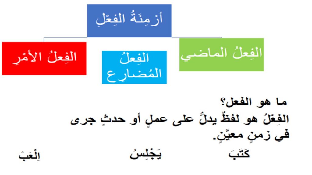 أقسام الكلام by jihan - Illustrated by جيهان عياشي - Ourboox.com