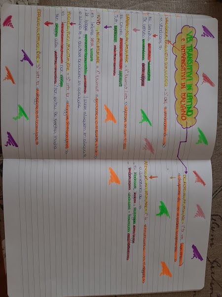 mappe latino by Maria Carla - Ourboox.com