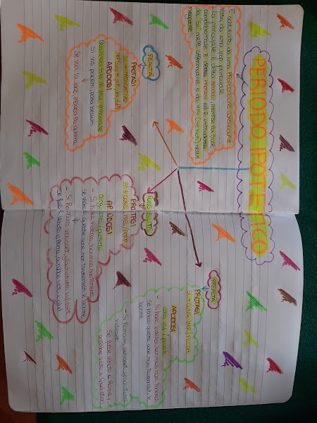 mappe latino by Maria Carla - Ourboox.com