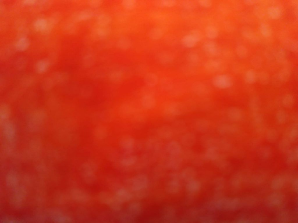 מחברת תקופה by talva - Ourboox.com