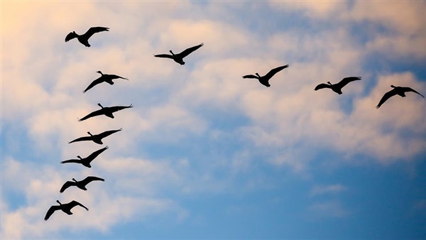 ظواهر فصل الخريف by diala - Ourboox.com