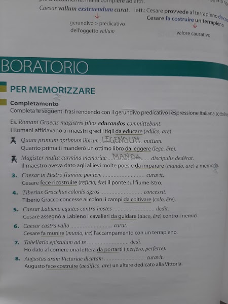 mappe latino by Maria Carla - Ourboox.com