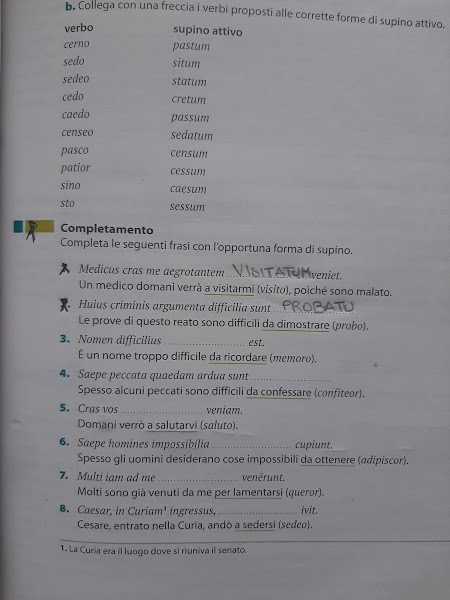 mappe latino by Maria Carla - Ourboox.com