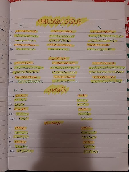 mappe latino by Maria Carla - Ourboox.com