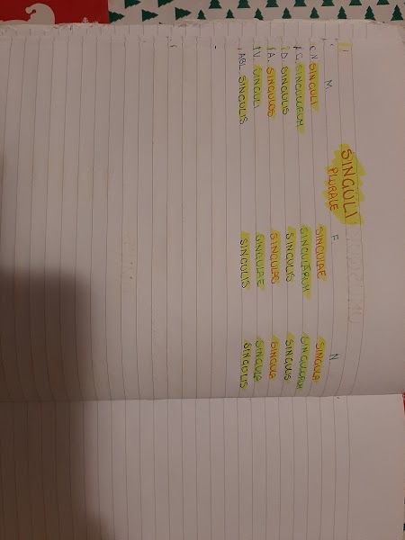 mappe latino by Maria Carla - Ourboox.com