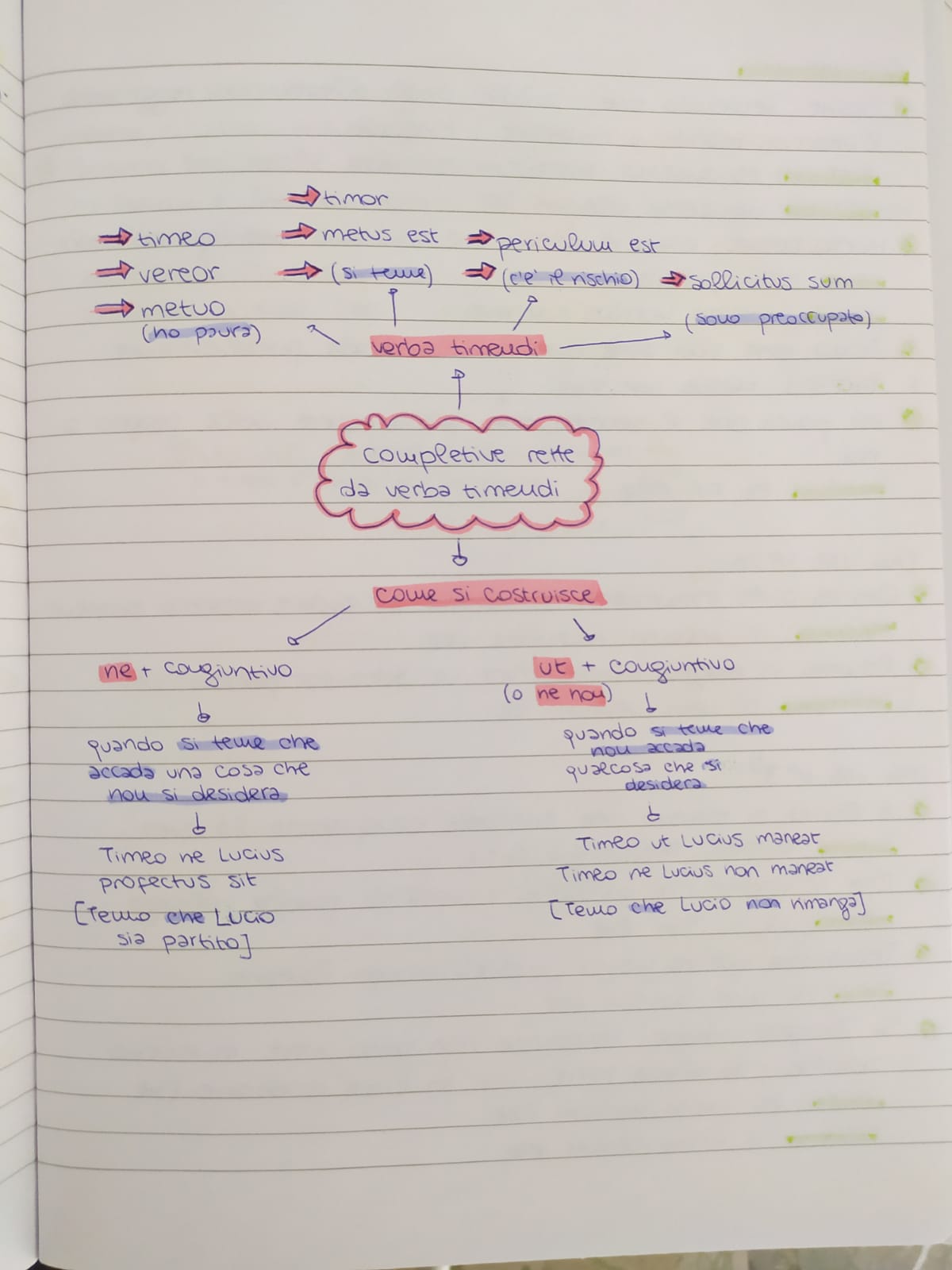 Mappe di Latino by Rebecca - Ourboox.com