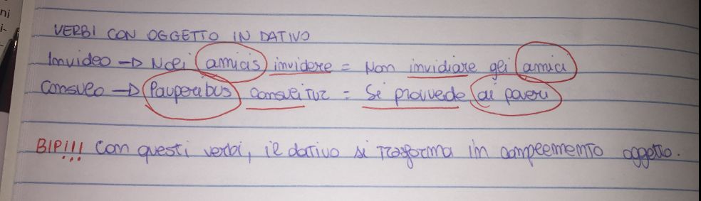 Mappe di latino by Nicola Sansone - Ourboox.com