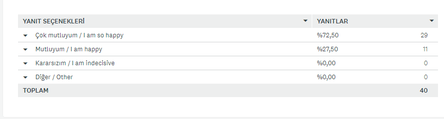 Bir Sanatçı Doğuyor Projesi Öğrenci Ön Anketi Analiz Sonuçları by Ayşe ERKAYA - Ourboox.com
