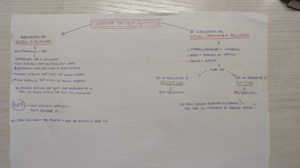 MINDMAPPING LATINO by giulia gravela - Illustrated by Giulia Rosa Gravela - Ourboox.com