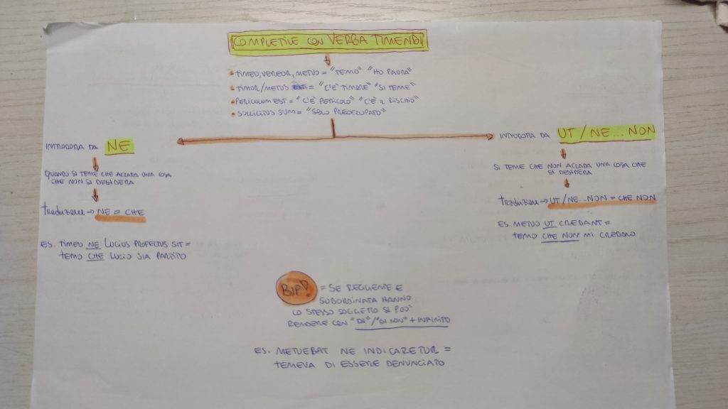 MINDMAPPING LATINO by giulia gravela - Illustrated by Giulia Rosa Gravela - Ourboox.com