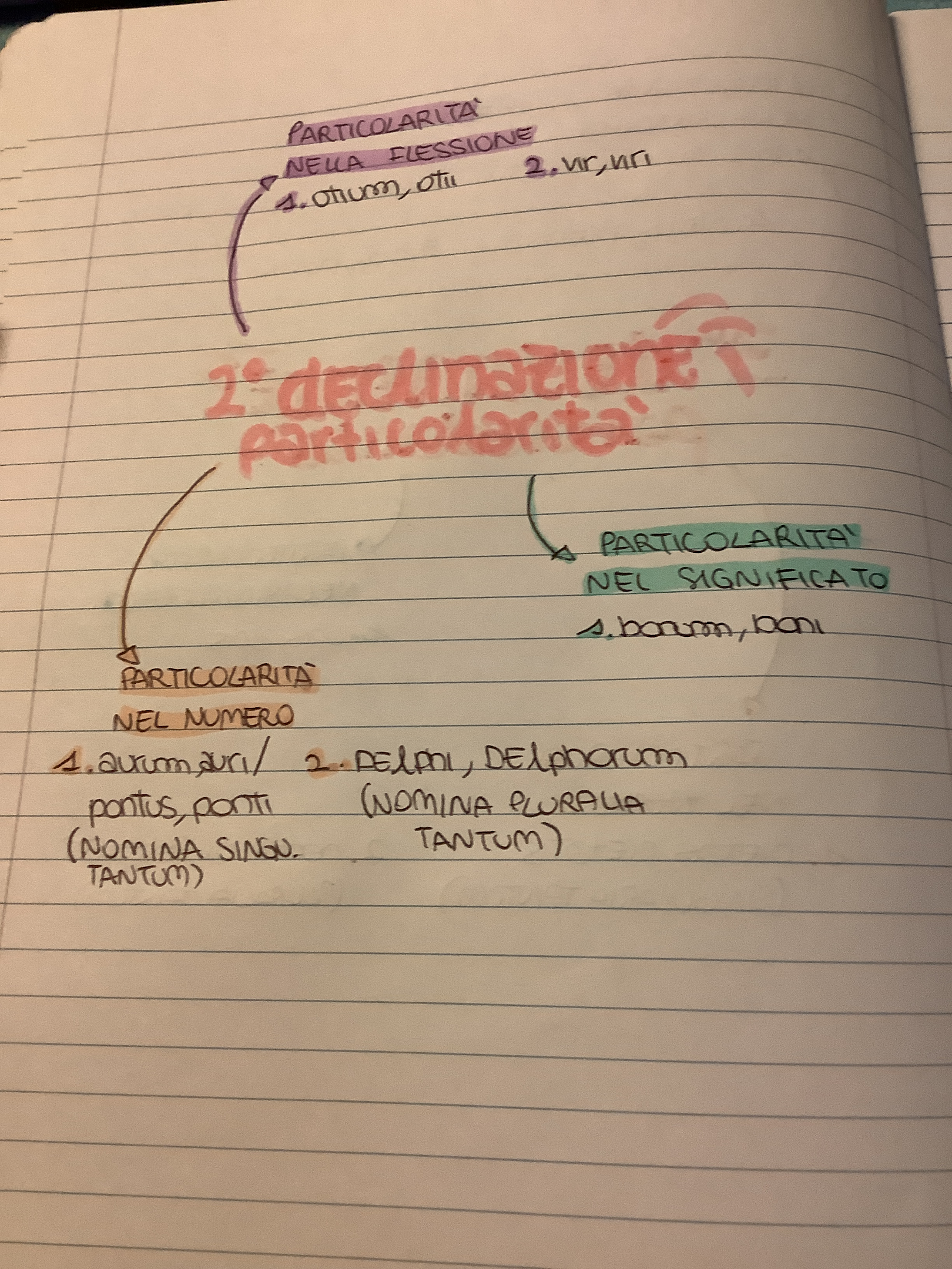 MINDMAPPING latino by francesca - Ourboox.com