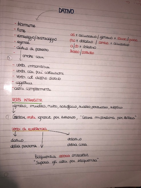 MAPPE CONCETTUALI by Giorgia Pizzulli - Ourboox.com