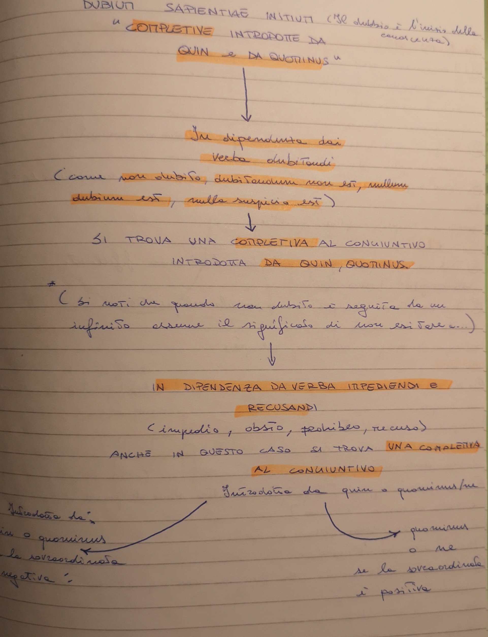 MAPPE CONCETTUALI E MENTALI DI GRAMMATICA LATINA by MATTIA GAUDIANO - Illustrated by Mattia Gaudiano - Ourboox.com