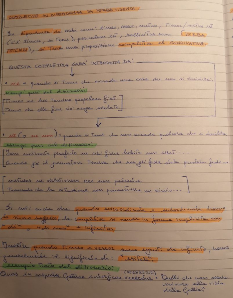 MAPPE CONCETTUALI E MENTALI DI GRAMMATICA LATINA by MATTIA GAUDIANO - Illustrated by Mattia Gaudiano - Ourboox.com