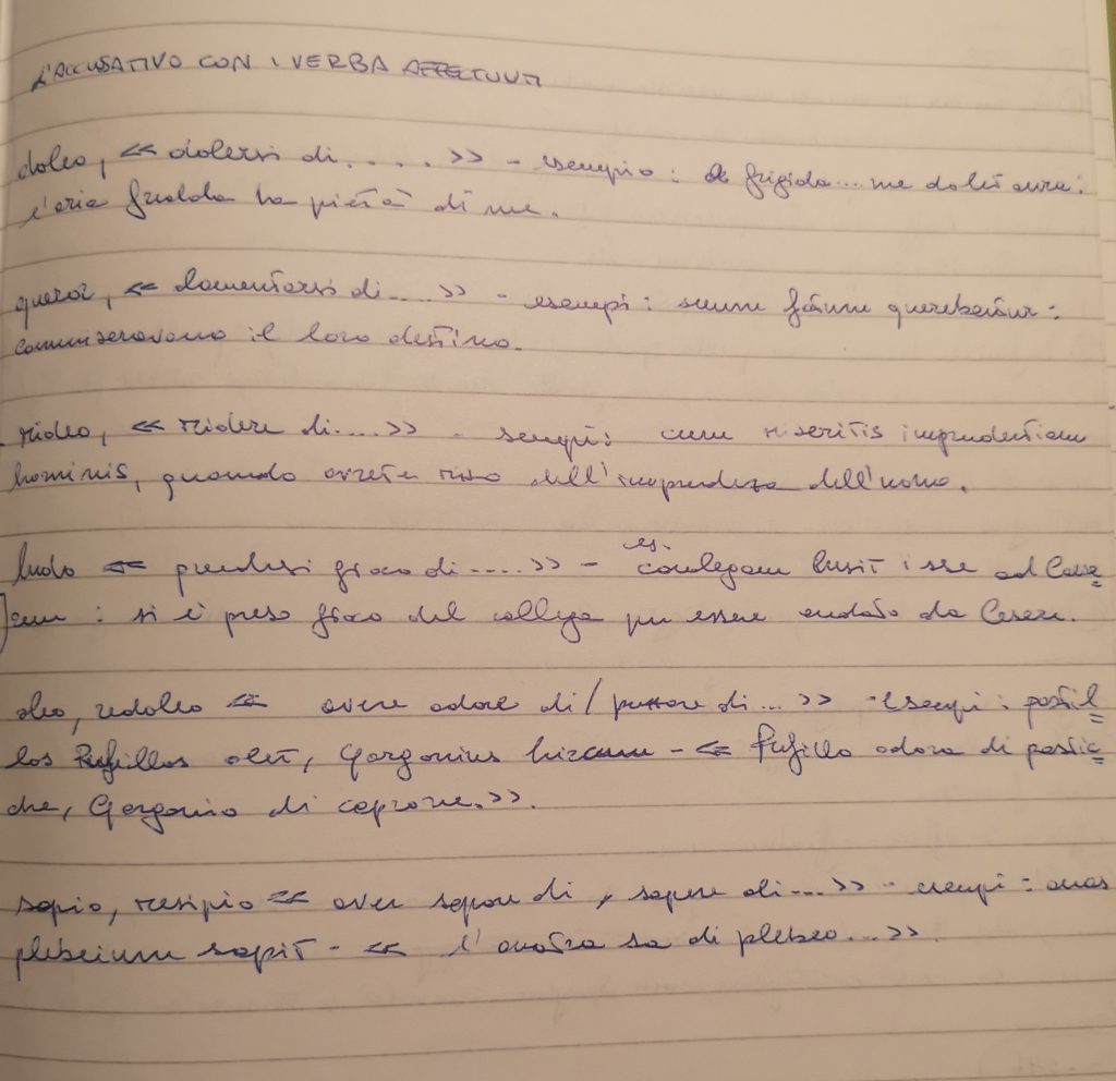 MAPPE CONCETTUALI E MENTALI DI GRAMMATICA LATINA by MATTIA GAUDIANO - Illustrated by Mattia Gaudiano - Ourboox.com