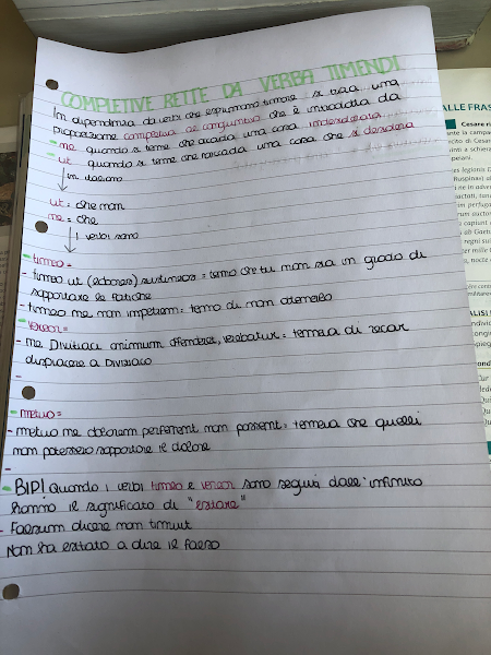 MAPPE CONCETTUALI by Giorgia Pizzulli - Ourboox.com