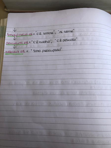 MAPPE CONCETTUALI by Giorgia Pizzulli - Ourboox.com