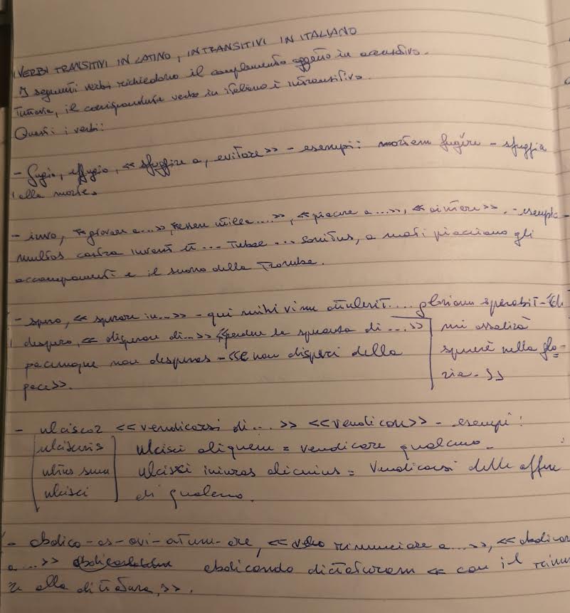 MAPPE CONCETTUALI E MENTALI DI GRAMMATICA LATINA by MATTIA GAUDIANO - Illustrated by Mattia Gaudiano - Ourboox.com
