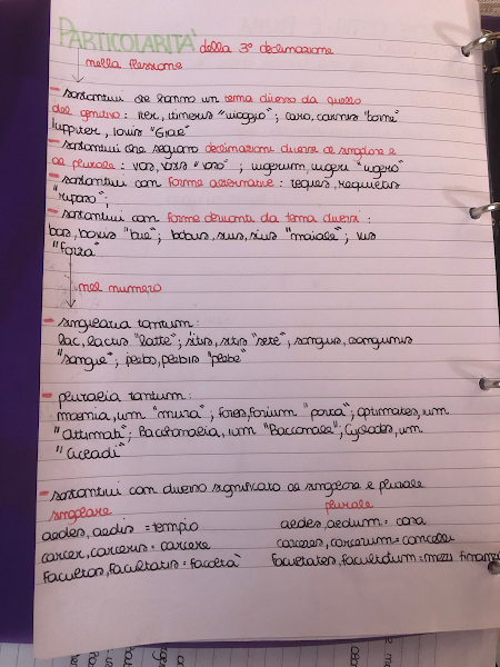 MAPPE CONCETTUALI by Giorgia Pizzulli - Ourboox.com