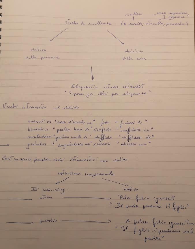 MAPPE CONCETTUALI E MENTALI DI GRAMMATICA LATINA by MATTIA GAUDIANO - Illustrated by Mattia Gaudiano - Ourboox.com
