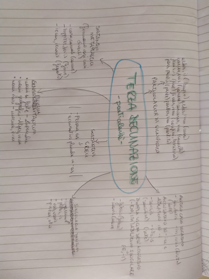 mappe di latino by Francesca - Illustrated by Maria Francesca Campoli - Ourboox.com