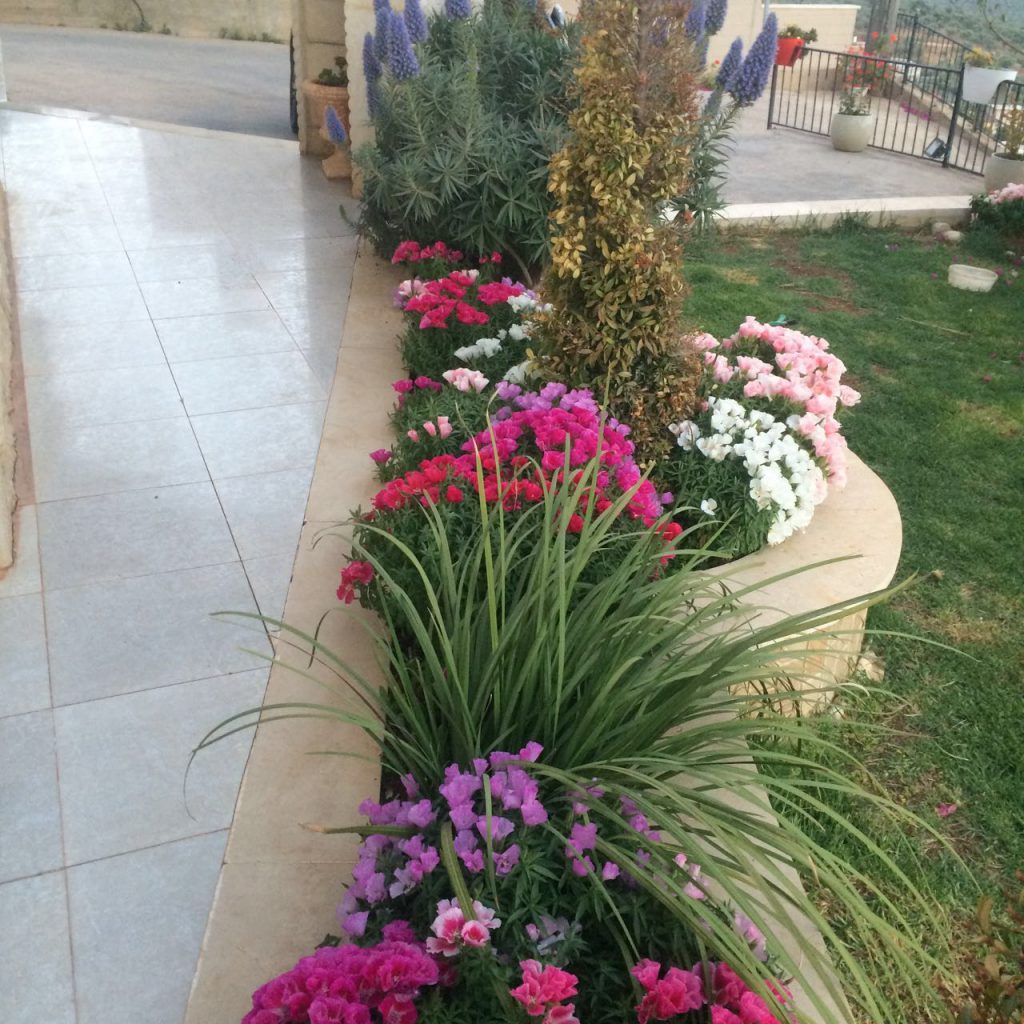 صور العائلة by samira hussien - Ourboox.com