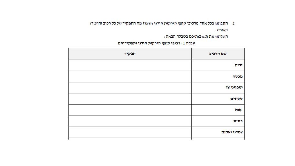 מערכת טכנולוגית by smadar cohen - Ourboox.com