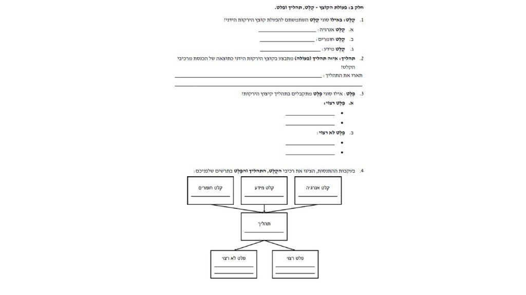 מערכת טכנולוגית by smadar cohen - Ourboox.com