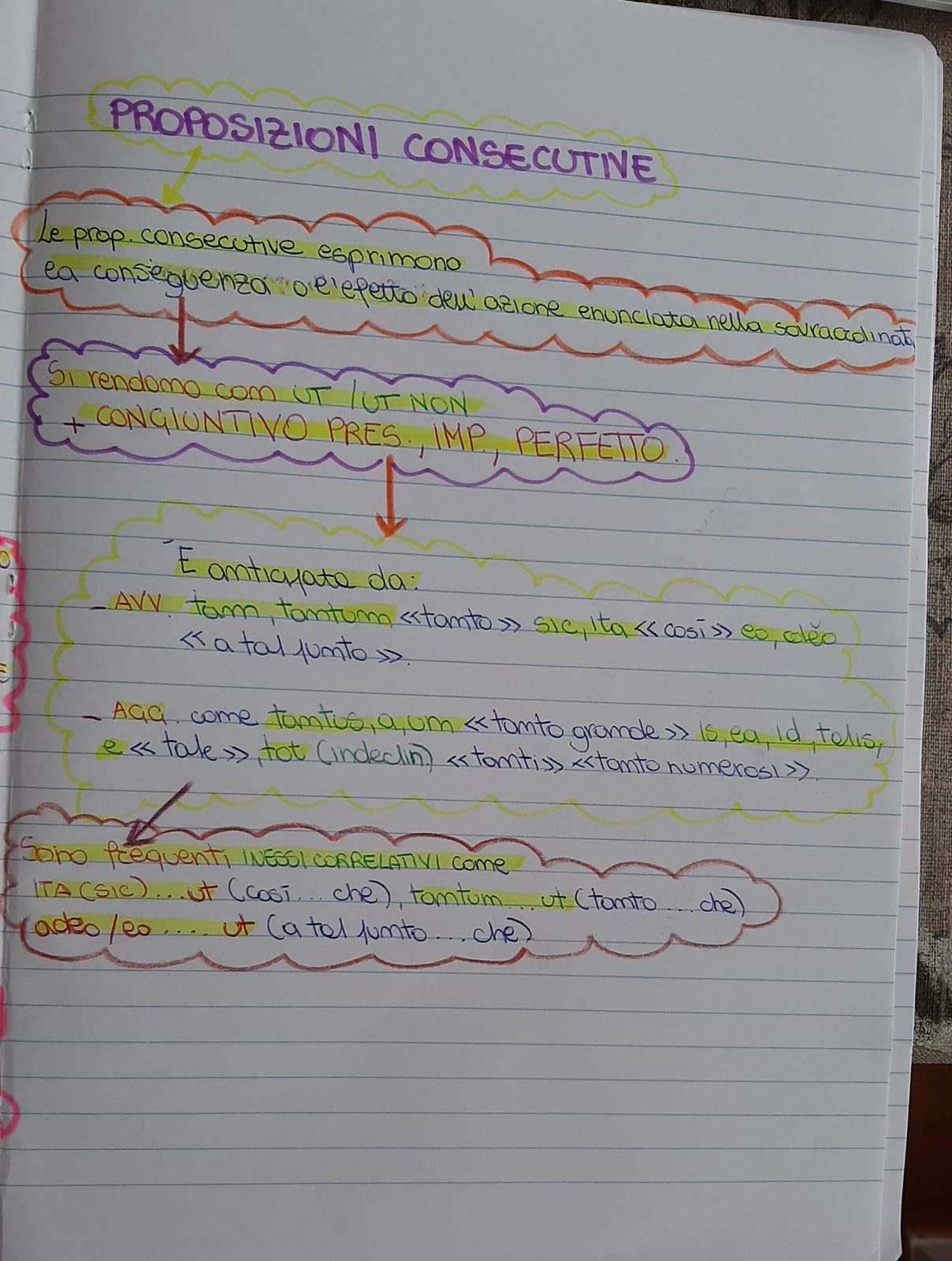 mappe latino by Maria Carla - Ourboox.com