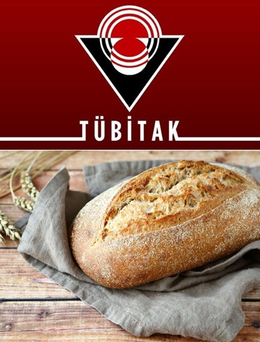 PROJE DERS ÖDEVİ (TÜBİTAK-EKMEK KULLANIMI) by burak bulak - Ourboox.com