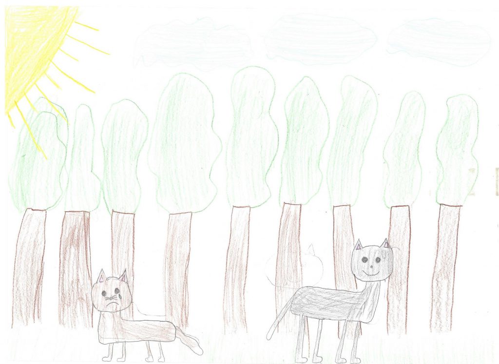 A wolf loving books by Luisa - Ourboox.com