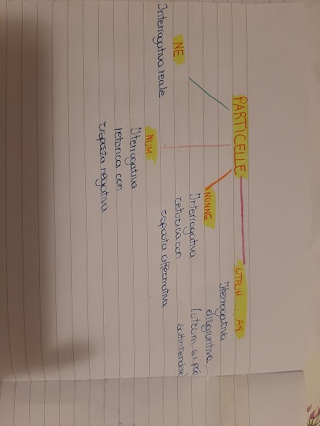 mappe latino by Maria Carla - Ourboox.com