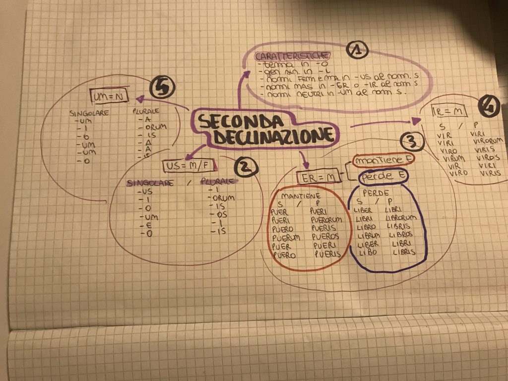 MINDMAPPING latino by francesca - Ourboox.com