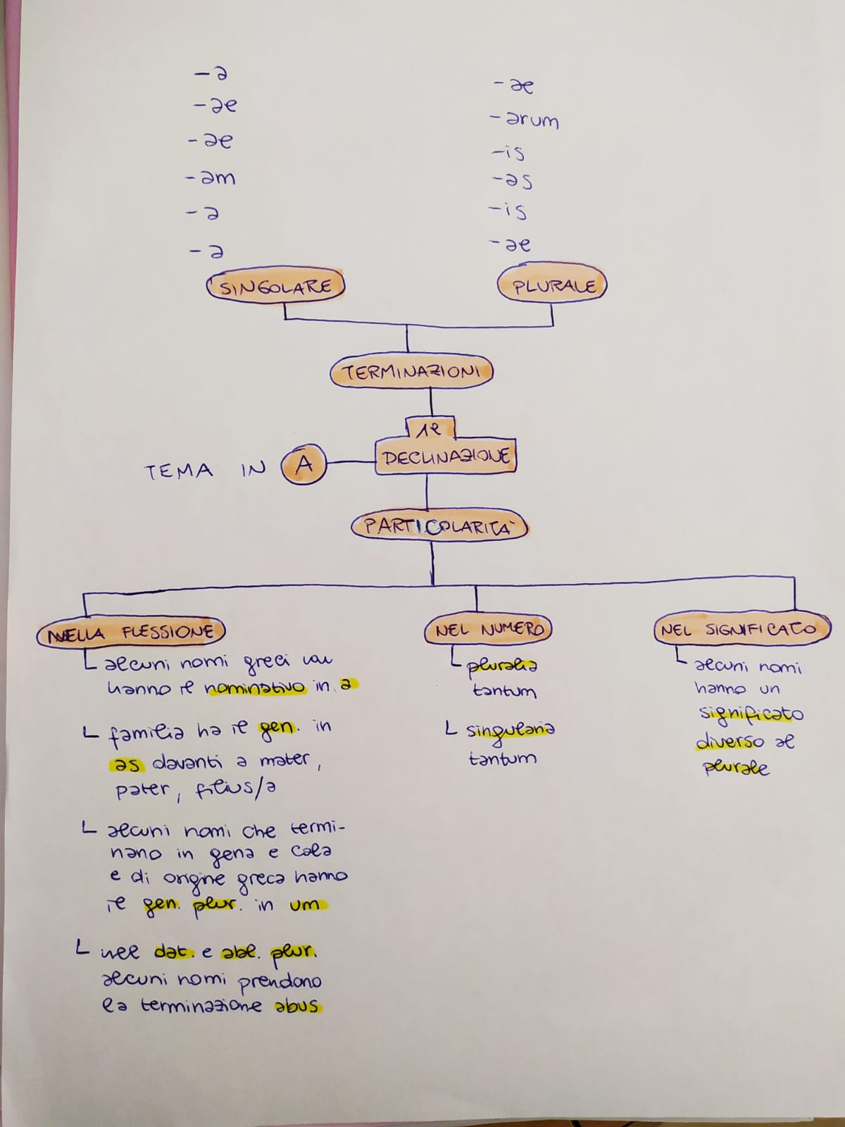 Mappe di Latino by Rebecca - Ourboox.com