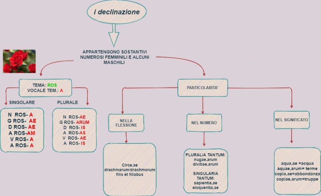 MAPPE CONCETTUALI by Giorgia Pizzulli - Ourboox.com
