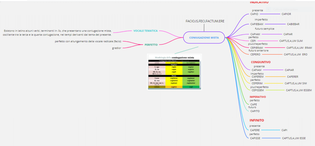 MAPPE CONCETTUALI by Giorgia Pizzulli - Ourboox.com