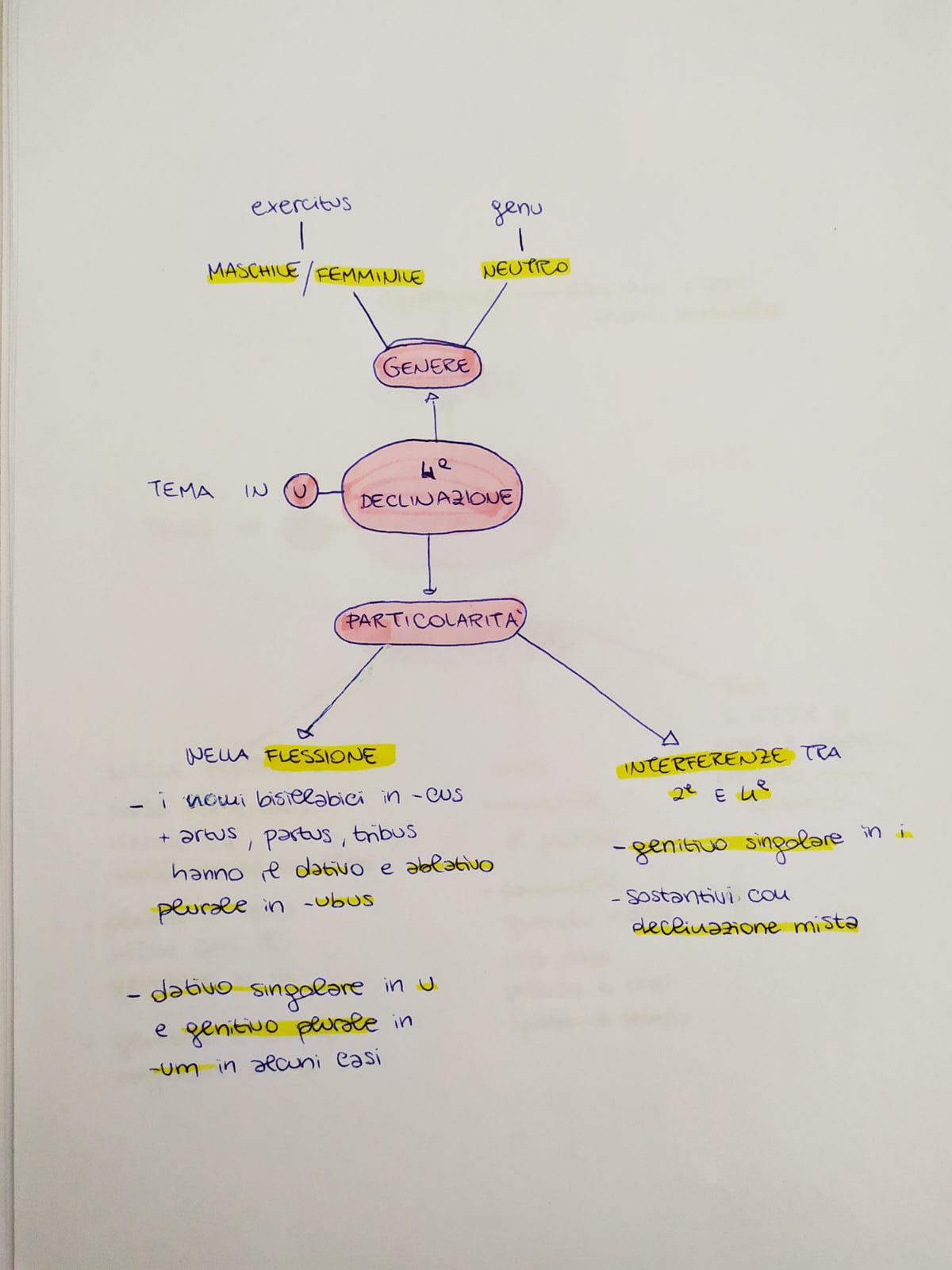 Mappe di Latino by Rebecca - Ourboox.com