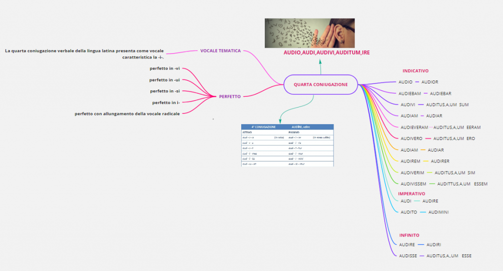 MAPPE CONCETTUALI by Giorgia Pizzulli - Ourboox.com