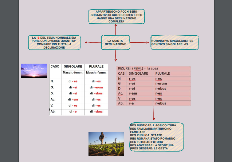 MAPPE CONCETTUALI by Giorgia Pizzulli - Ourboox.com