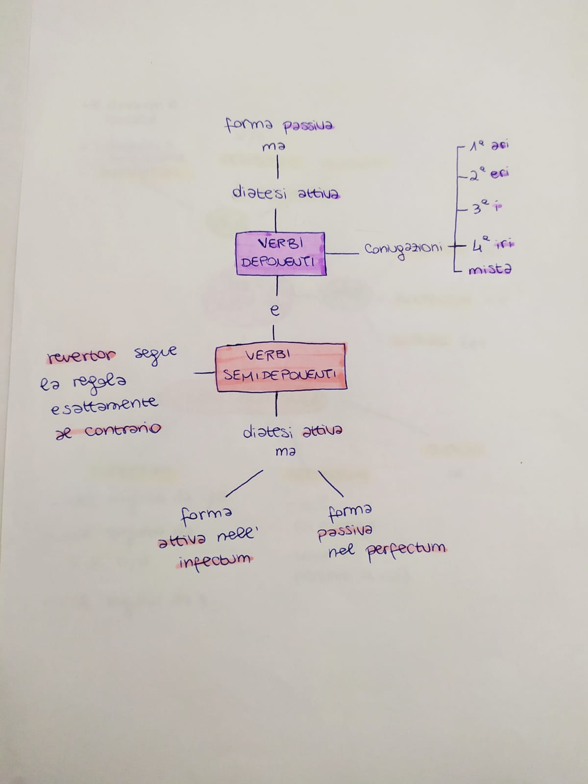 Mappe di Latino by Rebecca - Ourboox.com