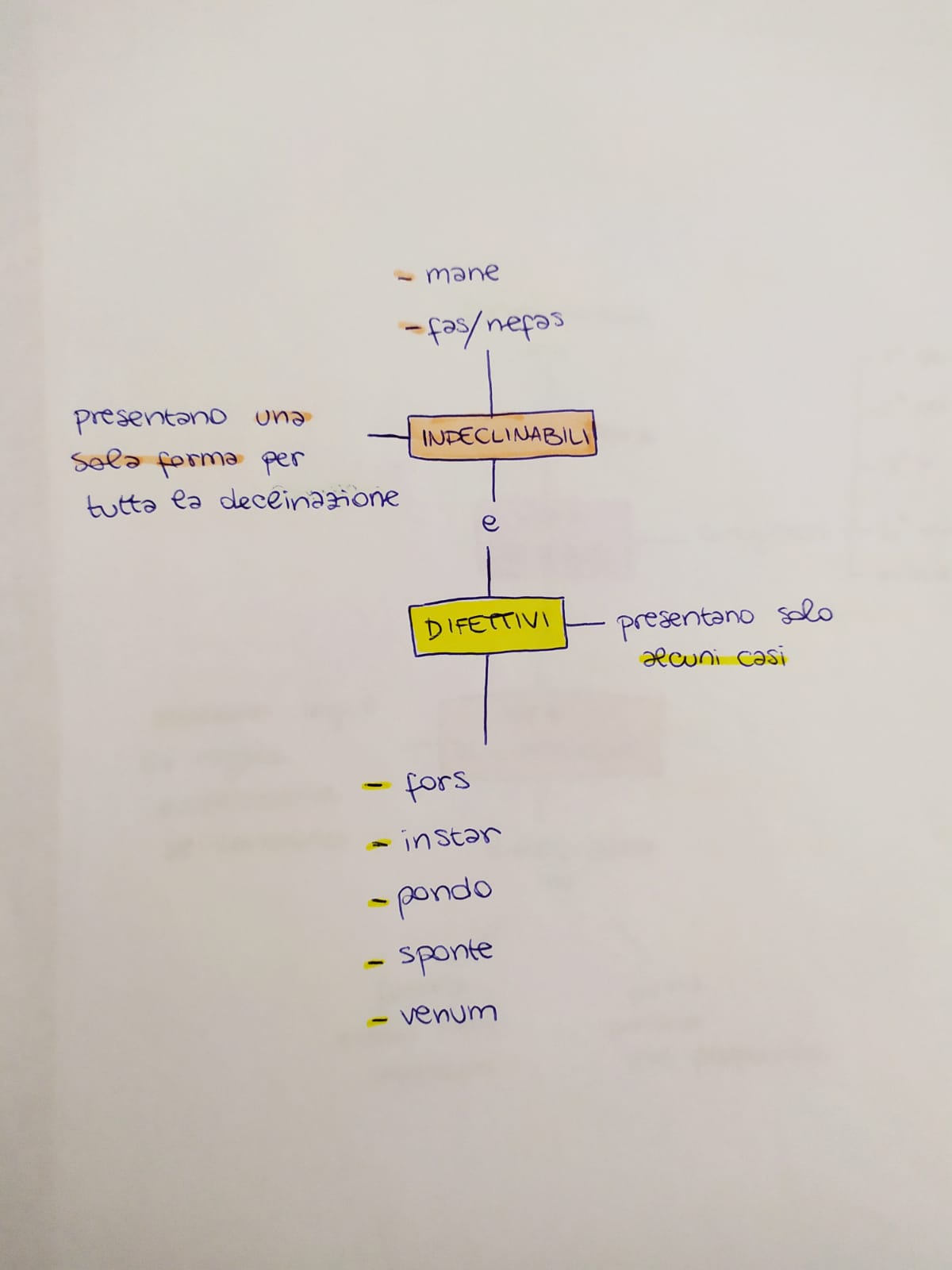 Mappe di Latino by Rebecca - Ourboox.com