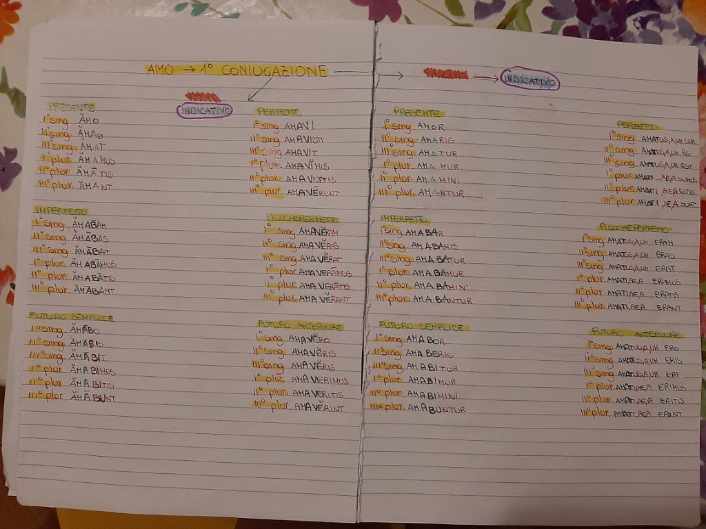 mappe latino by Maria Carla - Ourboox.com