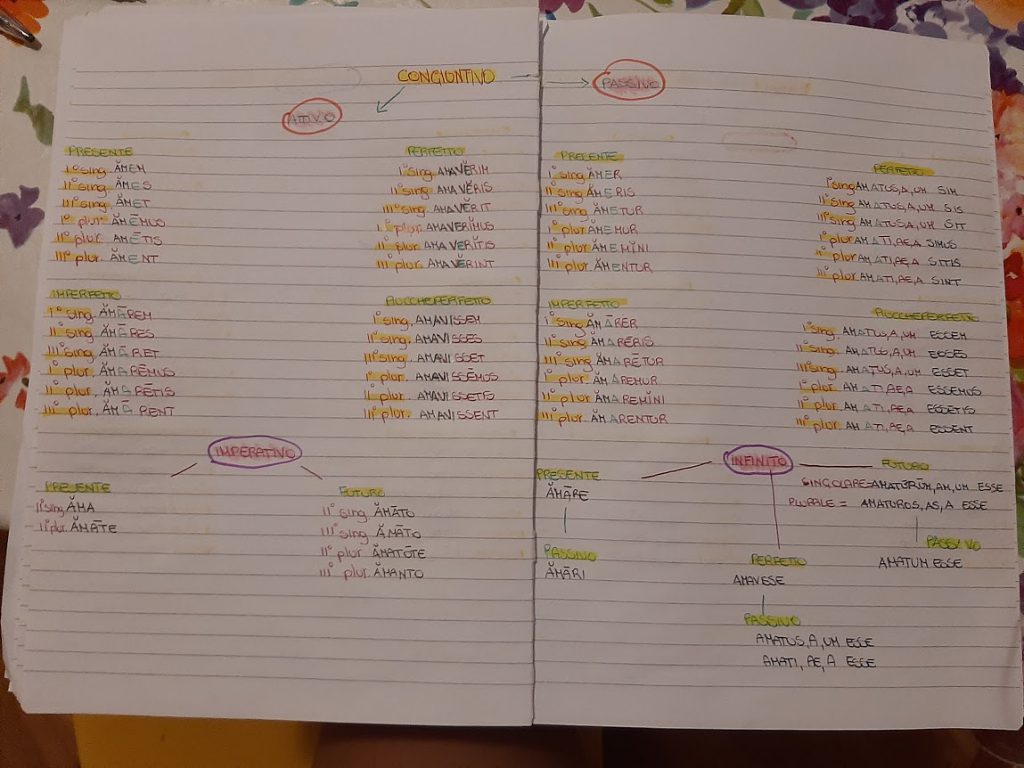 mappe latino by Maria Carla - Ourboox.com