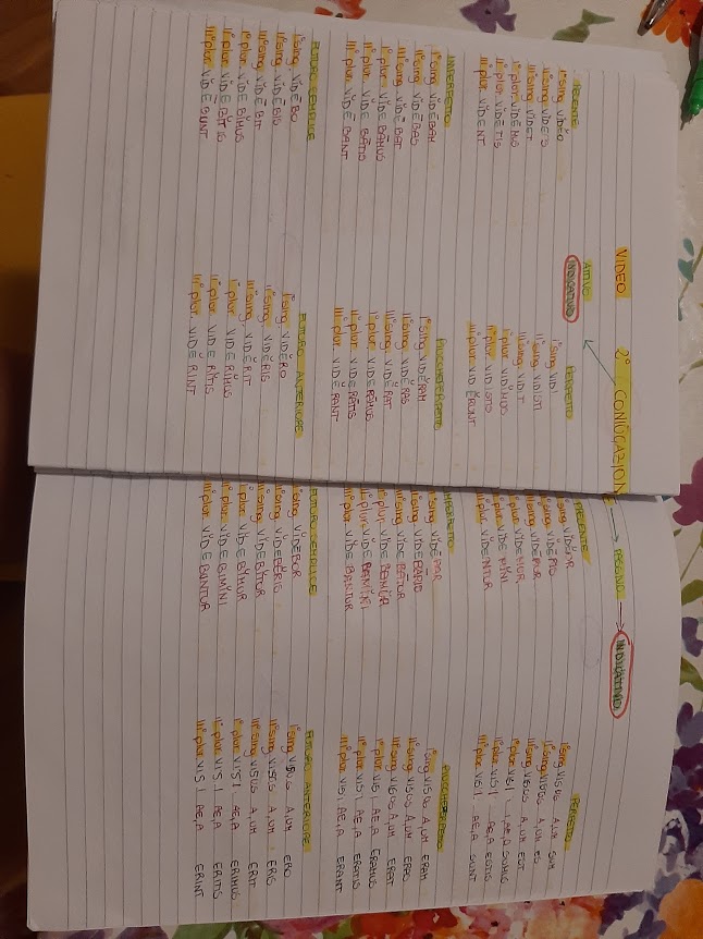 mappe latino by Maria Carla - Ourboox.com