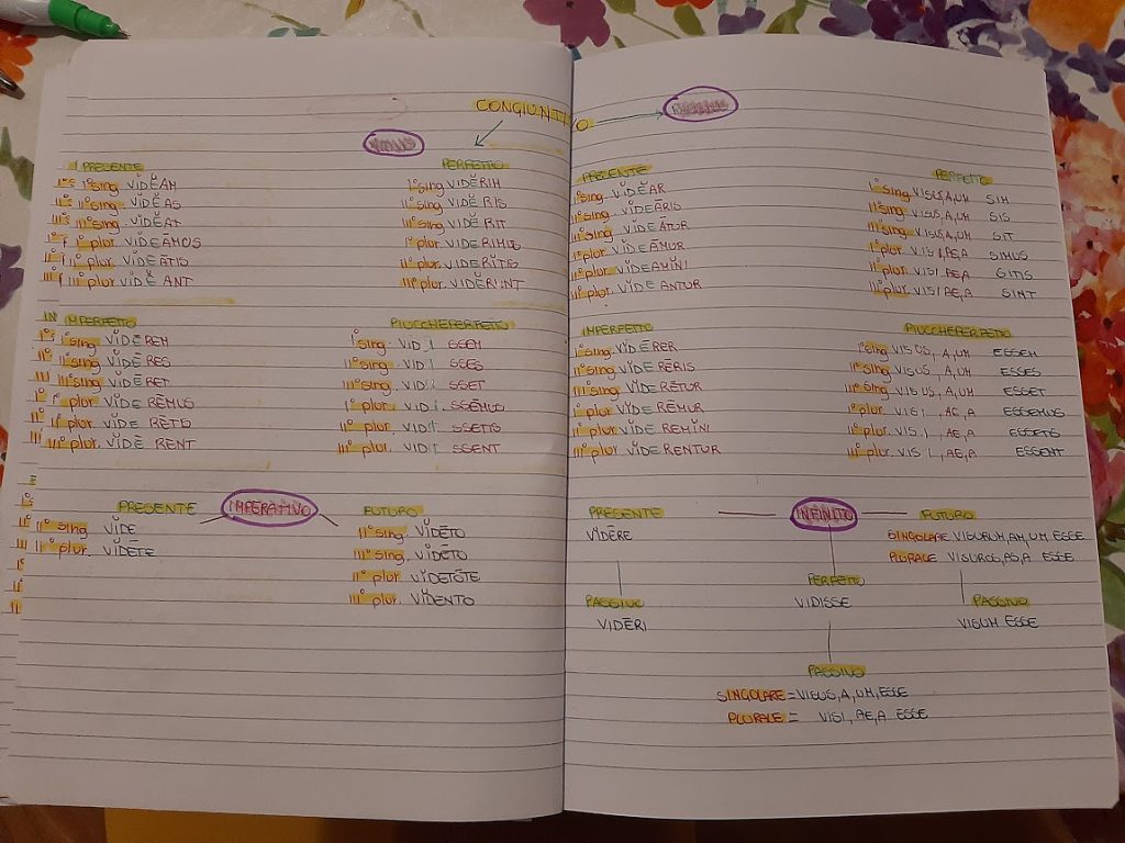 mappe latino by Maria Carla - Ourboox.com