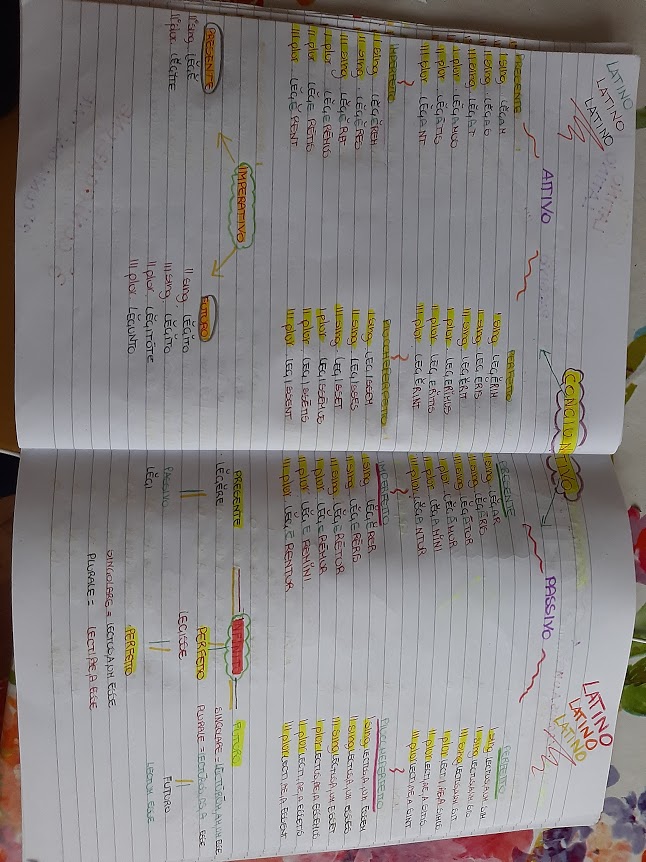 mappe latino by Maria Carla - Ourboox.com