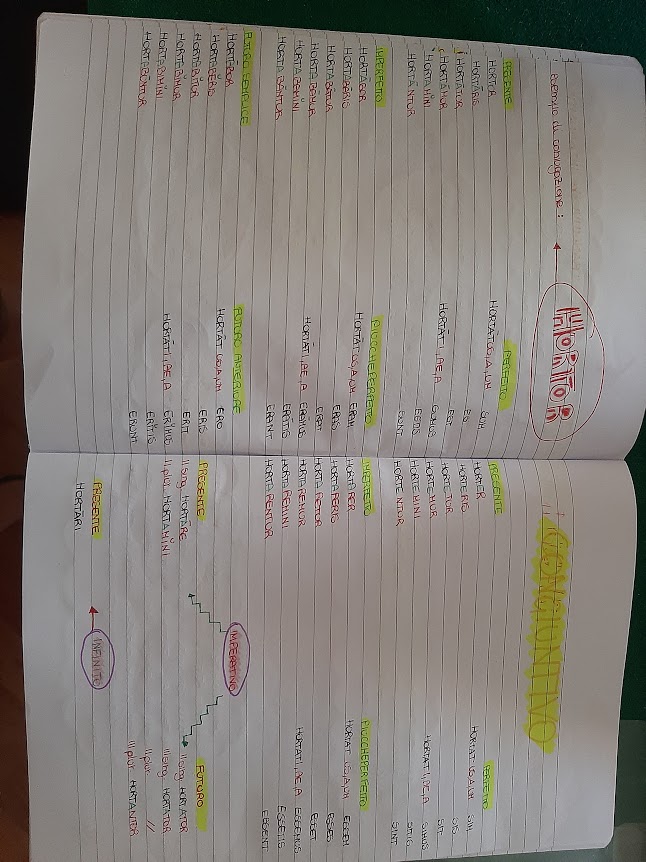 mappe latino by Maria Carla - Ourboox.com