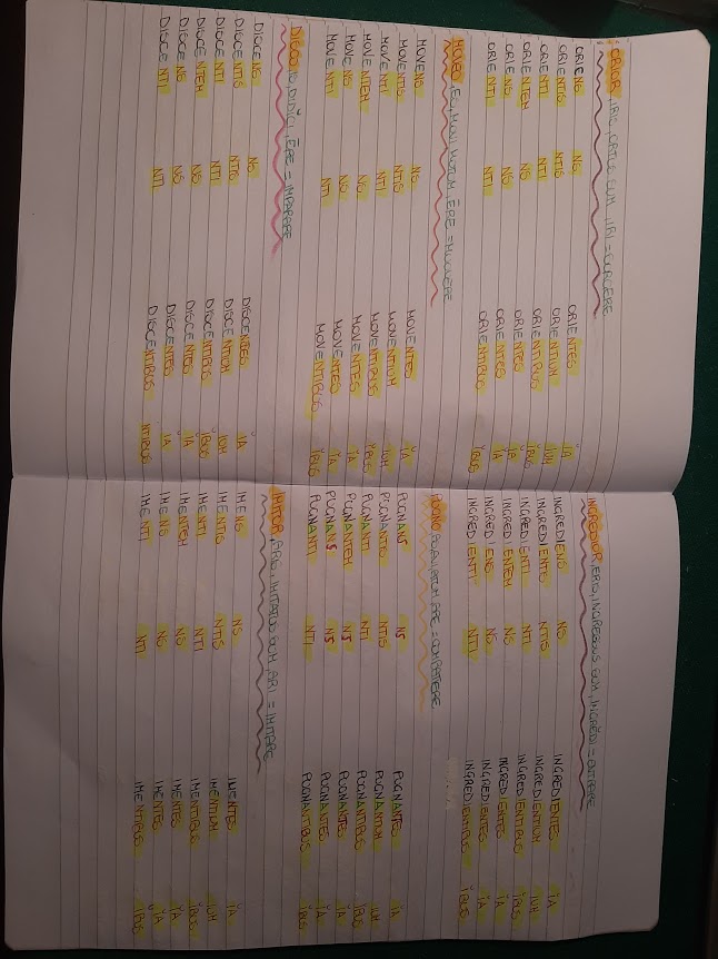 mappe latino by Maria Carla - Ourboox.com